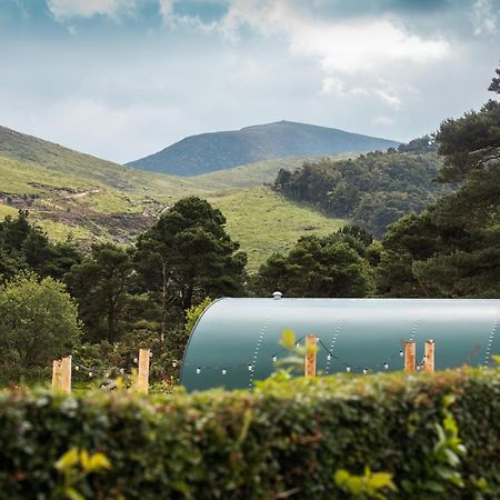 Further Space At Leitrim Lodge Luxury Glamping Pods Mourne Mountains Newcastle  Eksteriør bilde
